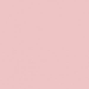 Rosa Nube